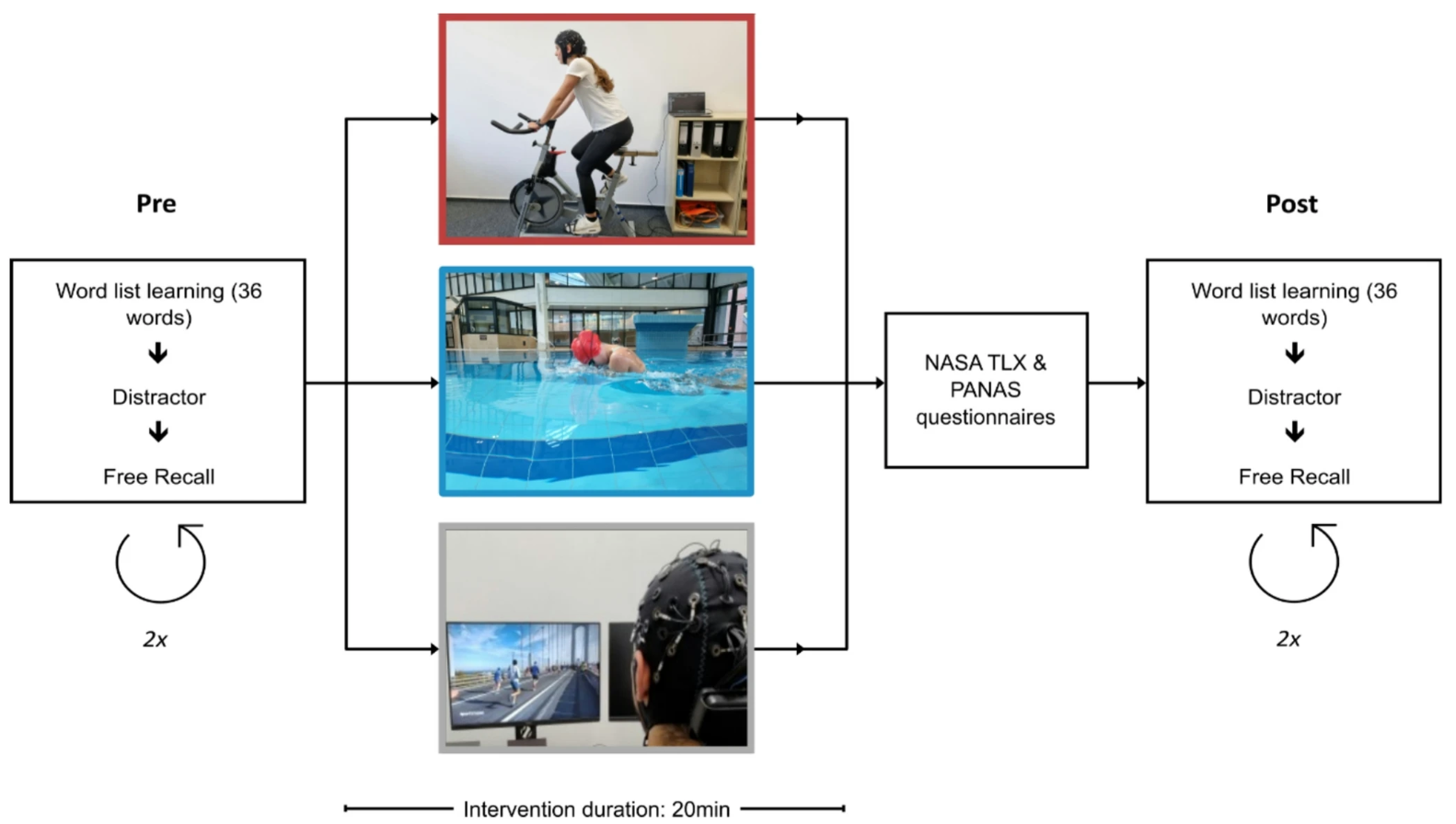 Cover image for Schwimmen, Radfahren, Sitzen: Auswirkungen akuter körperlicher Aktivität auf Gedächtnis und inhibitorische Kontrolle - Swim, bike, sit: Effects of Acute Exercise on Memory and Inhibitory Control